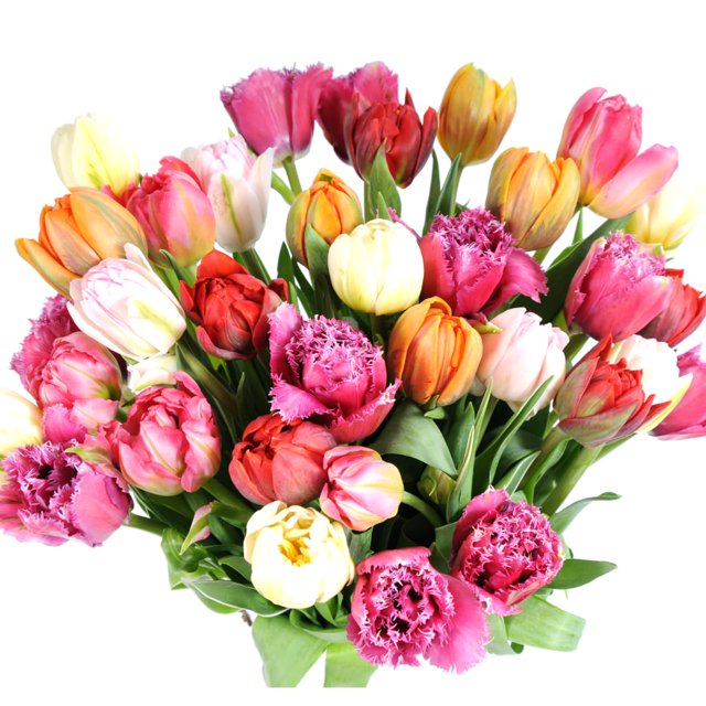  XOXO 30 Assorted Fancy Tulips with Vase Prime Shipping Mothers Day