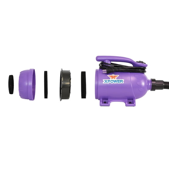 Dryer, B-2 Pro-at-Home, Purple