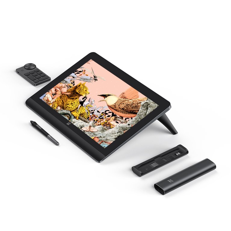 XPPen Artist Pro 16 (Gen2) Drawing Tablets with Screen 2.5K Pen Display  16in Graphic Monitor with 16384 Pressure Sensing Stylus for Animation