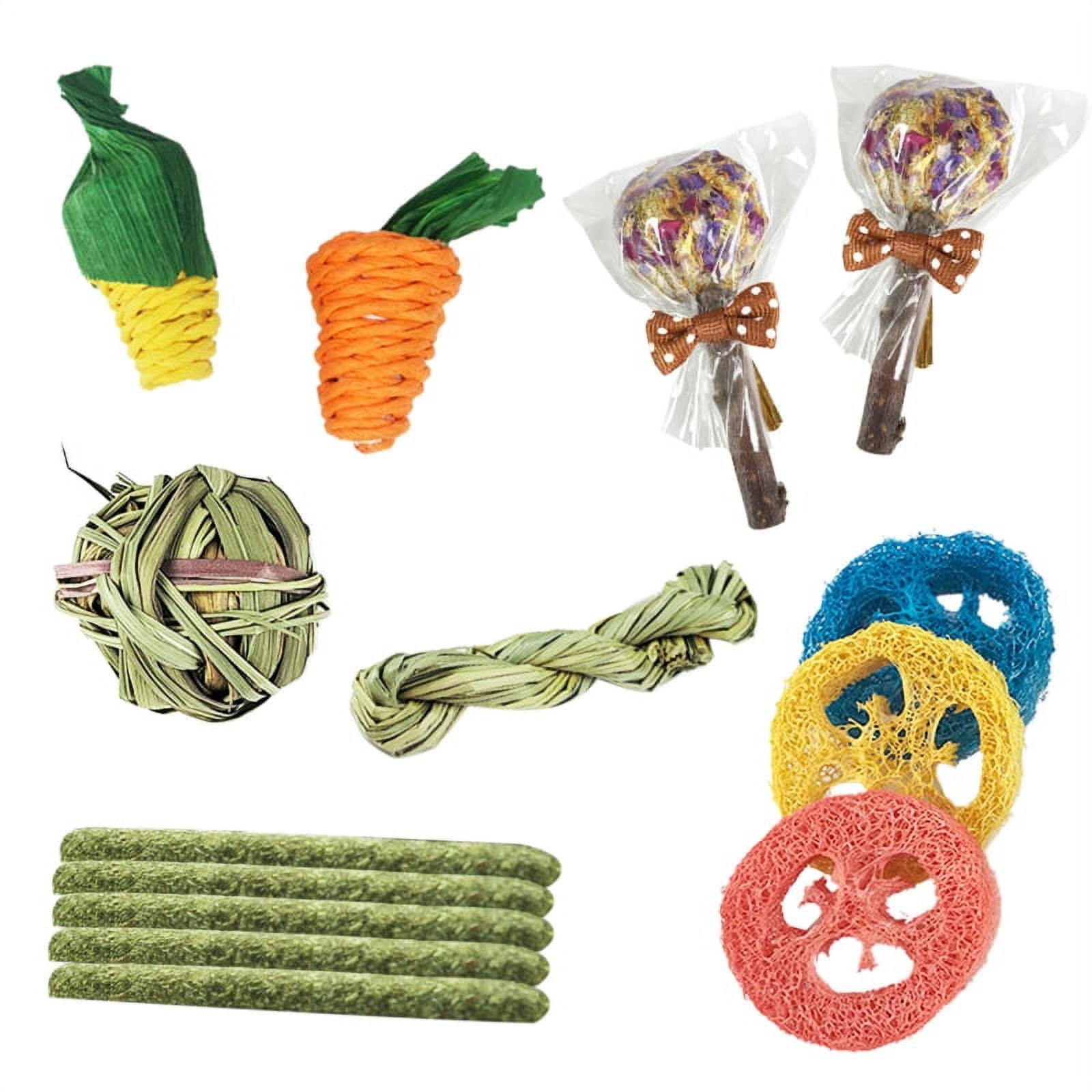 XROMTBEM Handmade Pet Chewing Toy 14pcs Chinchilla Rat Gerbil Natural Molar Toys Rabbits Chews and Treats Pets Teeth Cleaning Toy