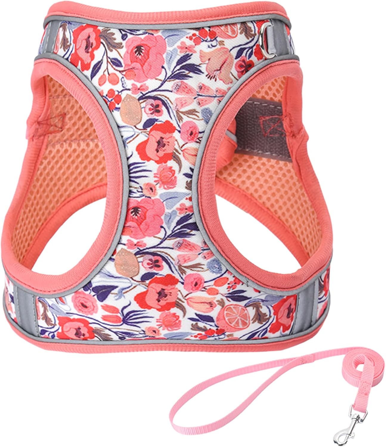 XS Peach Flower Pattern Dog Harness and Leash Set,No Escape Puppy Harnesses for Training Walking，Breathable Adjustable Puppy Vest for Small Medium Dogs, Cats (Peach, XS)