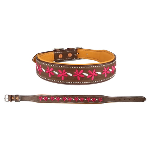 XSmall 9''- 13''  Padded Leather Floral Embroidered Dog Collar 60BT04