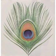 XTC - Apple Venus 1 - Music & Performance - CD