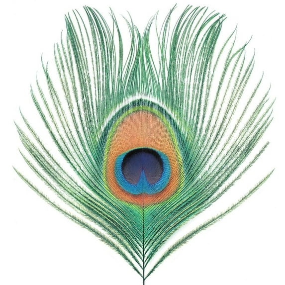 XTC - Apple Venus Vol 1 - Music & Performance - Vinyl