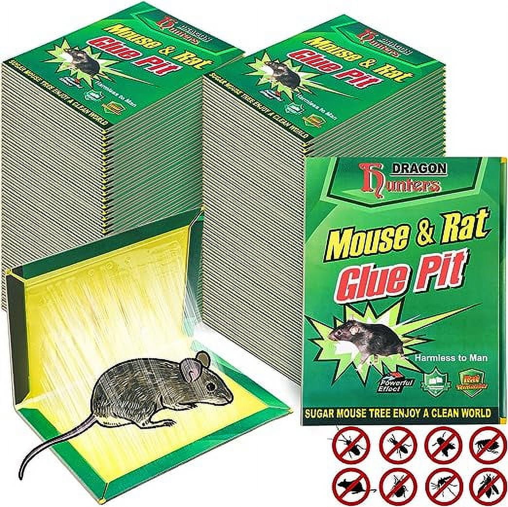 XTEILC 12 Pack Mouse Glue Traps Large Size Mouse Traps Sticky Pad