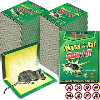 https://i5.walmartimages.com/seo/XTEILC-12-Pack-Mouse-Glue-Traps-Large-Size-Sticky-Pad-Enhanced-Stickiness-Rat-Board-Rodent-Cockroach-Other-Insects-House-Indoor-Outdoor-8-2-x-6-2_9bae8c18-cf59-4206-a457-11ec9da2754d.8c7cddd2f782cc1616207c1639405510.jpeg?odnHeight=320&odnWidth=320&odnBg=FFFFFF