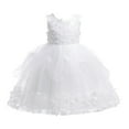 thumbnail image 1 of XUELUO Toddler Girls Sleeveless Dress 3D Butterflies Layered Tulle Skirts Princess Gown For Formal Occasions & Spring Wear, 1 of 7