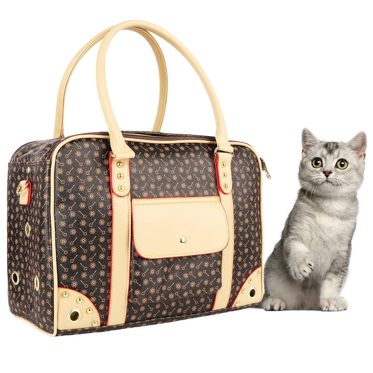 Stylish Louis Vuitton Pet Carrier