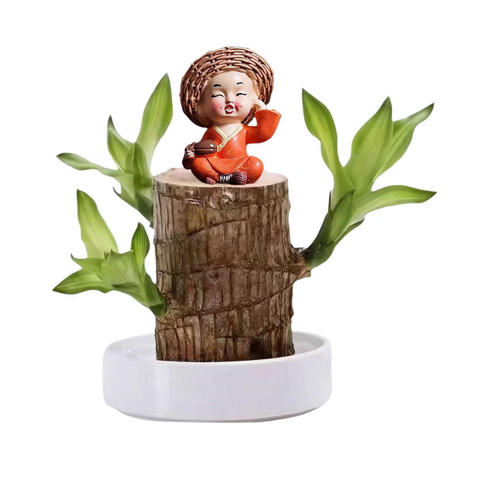 XVSSAA Brazilian Wood Easy Grow Wood Easy Care Brazilian Wood