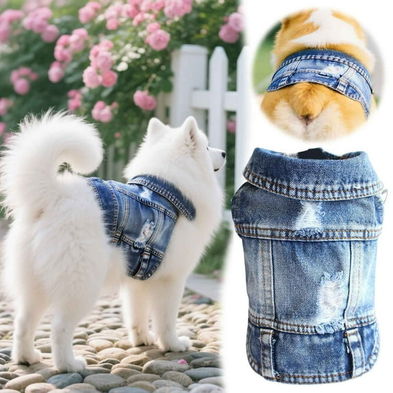 XXL Blue Denim Dog Vest, Vintage Distressed Pet Jacket for Large Breeds 1 Piece, Stylish Jean Coat for Walking, Cool Animal Apparel Size XXL