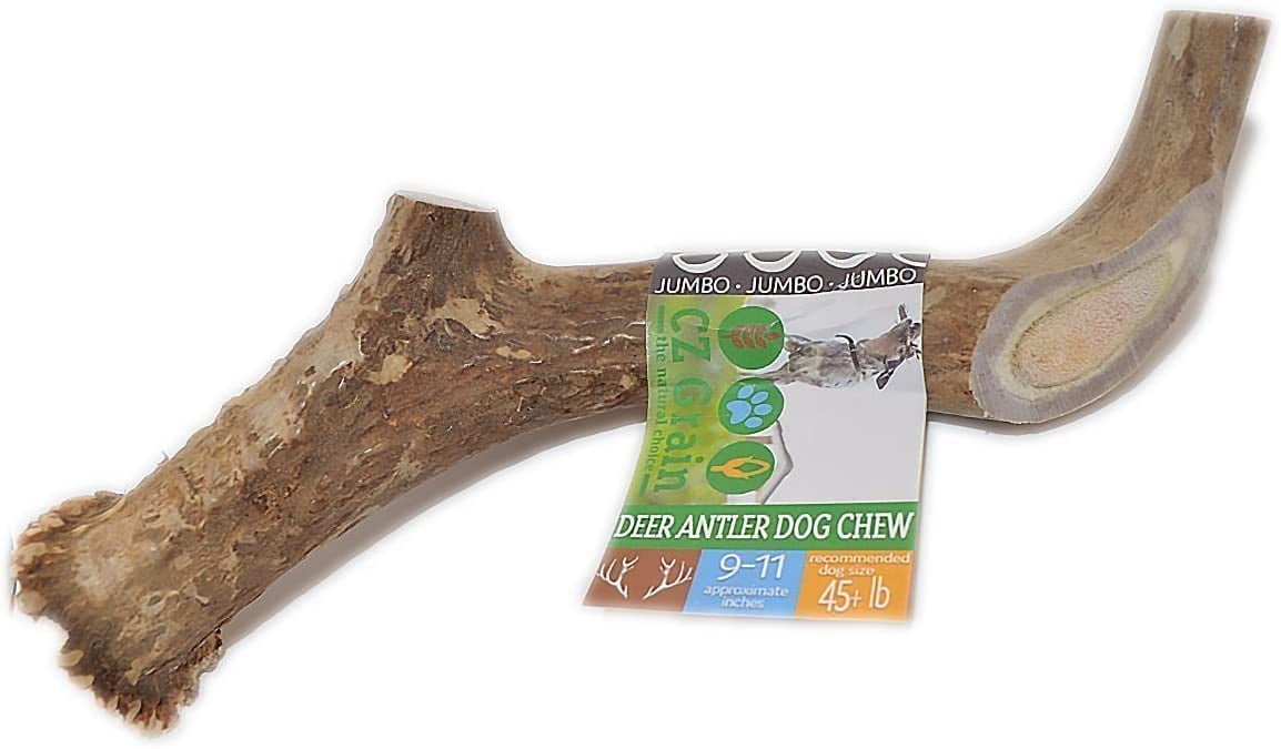XXL Jumbo Deer Antler for Dogs, for The Big Chewer - Premium Grade A Deer Antler Dog Chew - Long Lasting Dog Treat for Your Pet. Made in USA