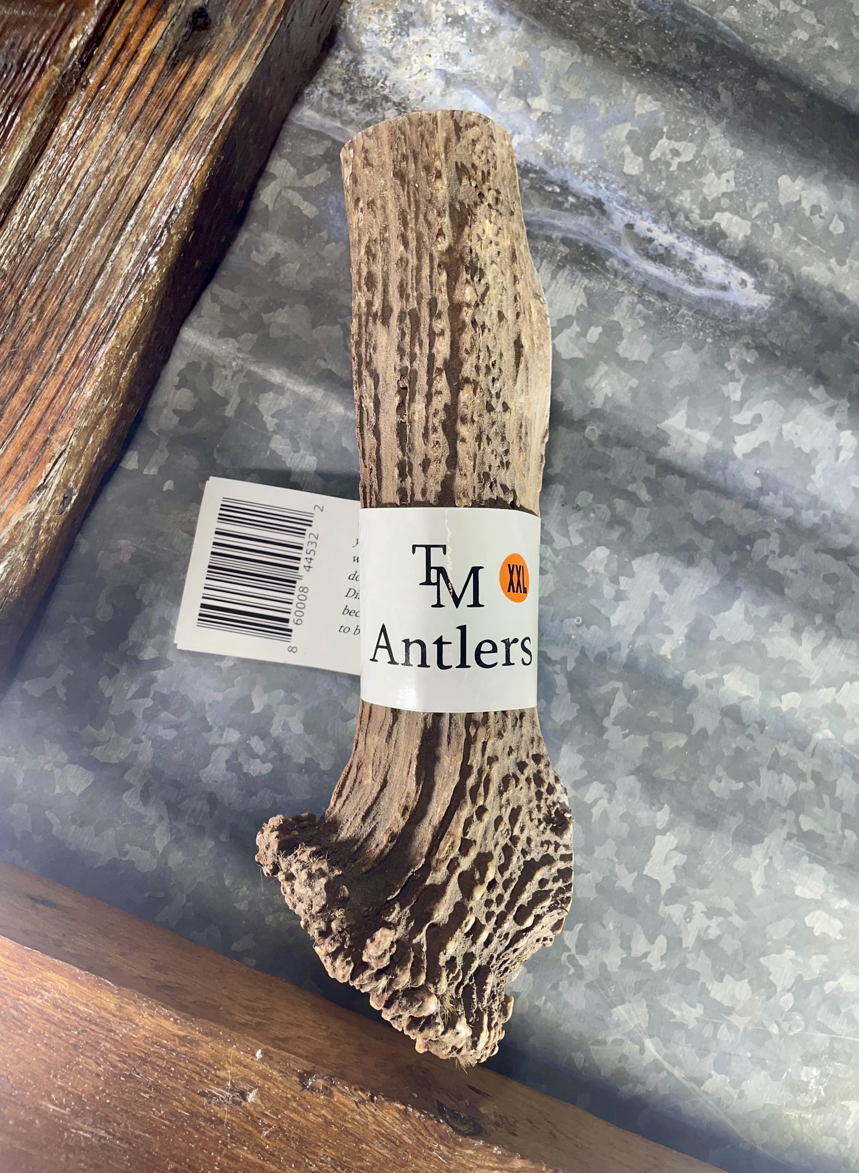 TM Antlers XXL Whole Elk Dog Chew – Durable, Naturally Shed Treat for Large & Extra Large Dogs (Whole: 6”-10”, XXL, 1-Pack)