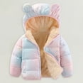 thumbnail image 1 of XXWXYD Baby Winter Teddy B𝖾ar Hooded Jacket Warm Fleece Outerwear Windproof Coat for Toddler Boys and Girls Cute Soft Thick Unisex Winter Clothes, 1 of 7