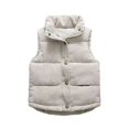thumbnail image 1 of XXWXYD Boys Girls Sleeveless Puffer Vest Stand Collar Winter Warm Zip Up Waistcoat Coat with Pockets Windproof, 1 of 8