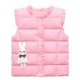 thumbnail image 1 of XXWXYD Child Kids Toddler Baby Boys Girls Sleeveless Reversible Vest Cute Cartoon Winter Solid Outerwear Outfits, Warm Comfortable Casual Daily Wear for Cold Weather, 1 of 6