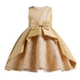 thumbnail image 1 of XXWXYD Girls 𝖥loral Lace Satin Dresses Ball Gowns Princess Dress Pageant Wedding Par𝗍y Double Layer Bow Sash Toddler Kid Formal Gown Celebration Dress Special Occasion, 1 of 9