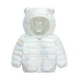thumbnail image 1 of XXWXYD Kids Cartoon Hooded Jacket Cotton Outerwear Colorful Print Zip Up Warm Coat Casual Outerwear Suitable For Boys Girls School Daily Play And Holiday Occasions, 1 of 9