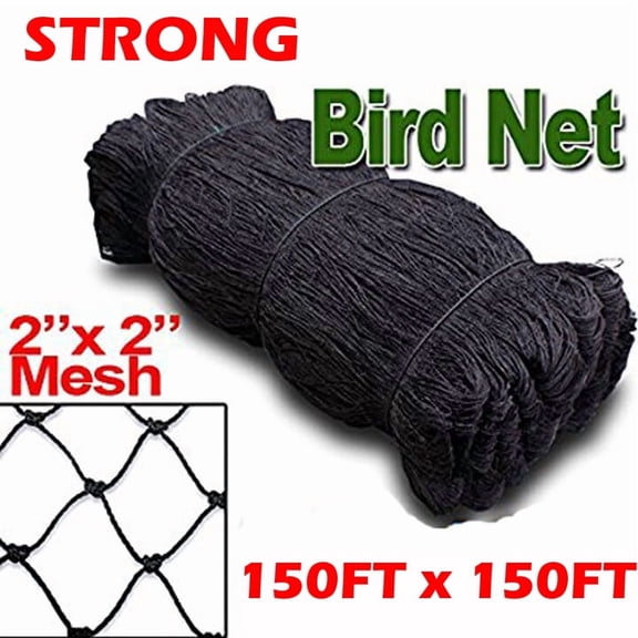 XXX-Large Strong All Season 150ft x 150ft Nylon 2-Inch Mesh Anti-Bird Poultry Netting for Fruit Trees Used As Bird Netting for Chicken Coop, Garden Netting, Plant Netting, Tree Protectors