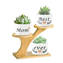 XXXFLOWER 3pcs Best Mom Ever Succulent Pots with 3 Tier Bamboo Saucers Stand Holder, Small Ceramic for Succulent, Home Office Desk Garden Mini Pot Best Gift for Women Plant Lovers