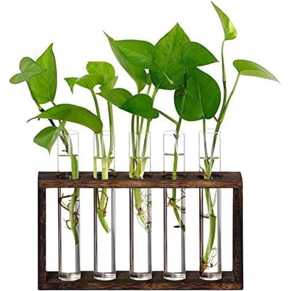 XXXFLOWER Plant Propagation Station,Plant Terrarium Wooden Stand with 5 Test Tubes,Glass Planters for Indoor Plants,Plant Lover Gifts for Women Mom Wife Daughter,Garden Office Room Decoration