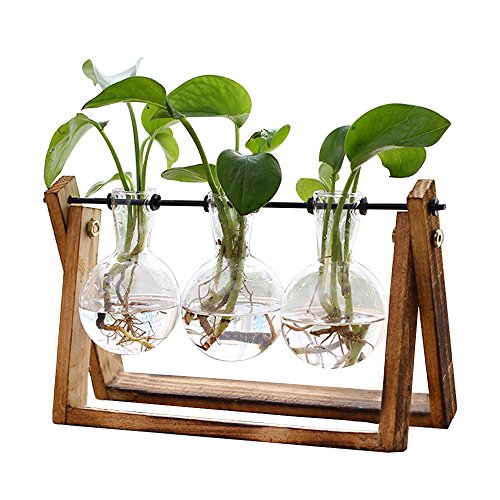XXXFLOWER XXXFLOWER Plant Terrarium with Wooden Stand, Air Planter Bulb Glass Vase Metal Swivel Holder Retro Tabletop for Hydroponics Home Garden Office Decoration - 3 Bulb Vase - image 1 of 6
