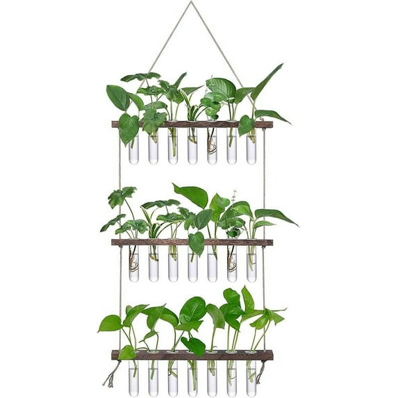 XXXFLOWER Wall Hanging Propagation Station with Wooden Stand 5 Glass Test Tubes 3 Tiered Planters Wall Terrarium for Home Office Plant Hanger Flower Vases Wall Decor Hydroponic Cuttings