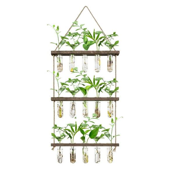 XXXFLOWER Wall Hanging Propagation Station with 15 Glass Tubes Air Planter Terrarium