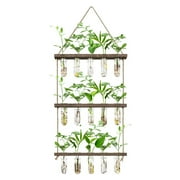 FLOWER Wall Hanging Propagation Station with 15 Glass Tubes Air Planter Terrarium