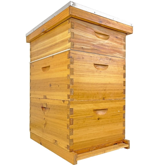 XYJBHB Beehive Starter Kit, 3-Layer Langstroth Bee Hive with Beeswax Coated Foundation, 2 Deep and 1 Medium Boxes, Beginner Friendly
