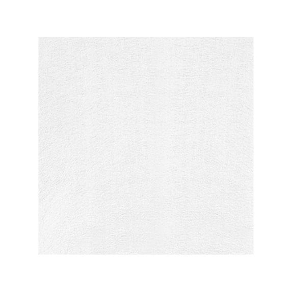 XYRSRUW Microfiber Cleaning Cloth, Absorbent Dish Towel for Kitchen Use, Lint-Free Kitchen Rag for Decontamination, Streak-Free Microfiber Dishcloth for All Surfaces(White,S)