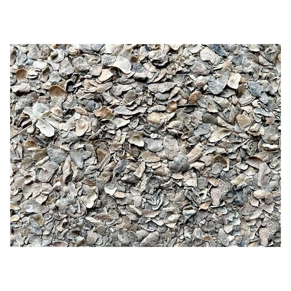 XYT Bocce Ball Crushed Oyster Shell Natural Eco-Friendly For Bocce Court Landscaping Paving Surfacing Material