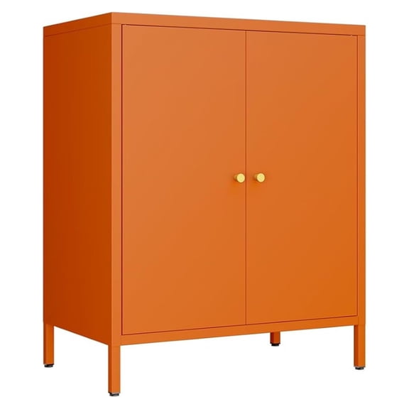 XYX 2 Door Metal Accent Storage Cabinet for Home,Office Room,Kitchen-Metal Locker Cabinet with 1 Adjustable Shelves-2-Tier (Small 2 Door Cabinet, Orange)