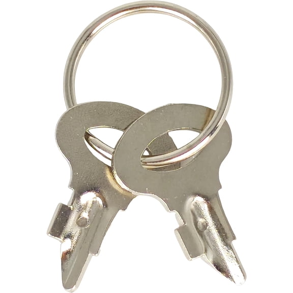 XYZIL 2X Ignition Switch Key 234356 A11373 Compatible with Allis Chalmers D10 D12 D14 D15 D17 D19 D21 H3 HD3 Compatible with Case 1075 120 700 800 8820 8825HP 8830 8840 8850 8860HP 8870 8880HP