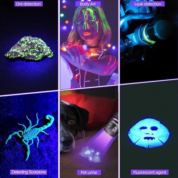 XZHANH-SV135 Mini 365nm UV Flashlight USB C Rechargeable Blacklight Woods Lamp Money Detector Black Light for Pet Urine Detetector, Minerals, Rocks, AC Leaks with Built-in Battery