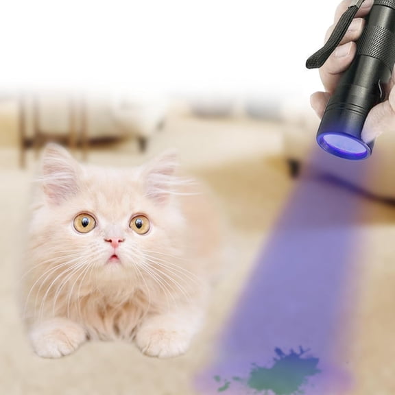 XZHANH-UV Flashlight with AAA Batteries, Pet Pee & Stain Detector, Black Ultra Violet Mini Handheld Light, Spots Invisible Stains, Aluminum Alloy, Multifunctional