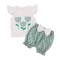 thumbnail image 1 of XZNPDUCQ Toddler Girls Clothes Kids Summer Short Sleeve T-Shirt and Elastic Shorts Outfit 2 Piece Set Short Sets For 6 12 18 24 Months 2T 3T 4T 5T Dailywear Green，6-12 Months, 1 of 8