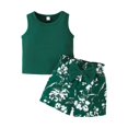 thumbnail image 1 of XZNPDUCQ Toddler Girls Summer Outfit Lion Embroidered Short Sleeve T-Shirt Tops Pockets Shorts Set Casual Elastic Shorts 2Pcs Summer 2Pcs T Shorts Set Dailywear Green，9-12 Months, 1 of 3