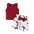 thumbnail image 1 of XZNPDUCQ Toddler Girls Summer Outfit Lion Embroidered Short Sleeve T-Shirt Tops Pockets Shorts Set Casual Elastic Shorts 2Pcs Summer 2Pcs T Shorts Set Dailywear Red，9-12 Months, 1 of 9
