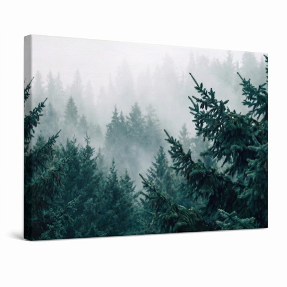 XaaKee Spruce Canopy Canvas Prints Wall Art Serene Forest Decor Inner Framed 18*12Inch