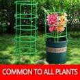 thumbnail image 1 of Xaoshaoyi Plant Support Cages For Climbing Plants Flowering Tomato Cage With Standing Stakes And Stabilizing Support Ring Pack Of 10, 1 of 6