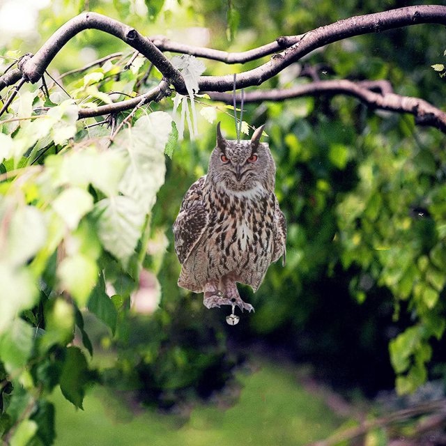 Xaweyi Bird Scarers for Garden, Owls to Keep Birds Away Bird Reflective