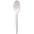 Xayoca TM217 Plastic Teaspoons, Bulk, Medium Wt, 1000/PK, White
