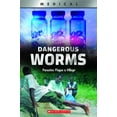 thumbnail image 1 of Xbooks: Dangerous Worms: Parasites Plague a Villate (Xbooks) (Paperback), 1 of 1