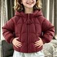 thumbnail image 1 of Xdegoge Toddler Boys Girls Puffer Jacket Winter Lightweight Quilted Warm Cute Hooded Outerwear Fall Winter Zip Up Snowsuit, 1 of 7