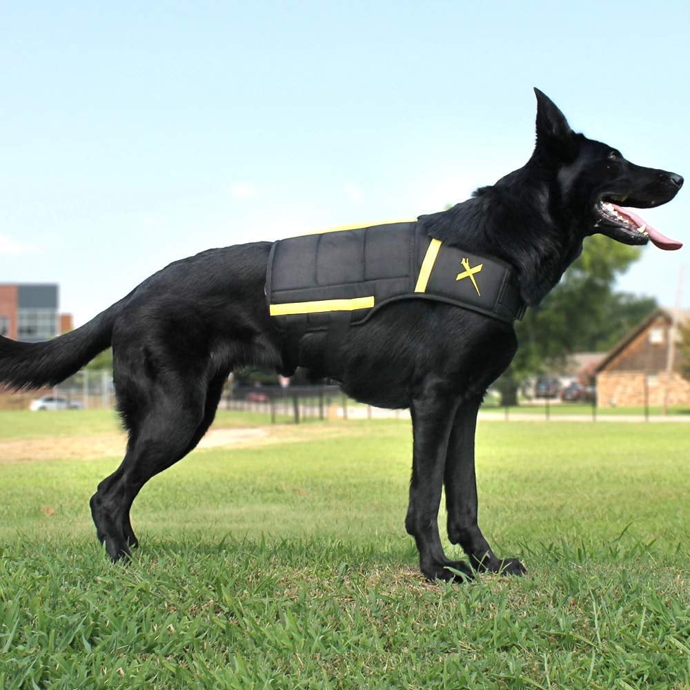 Xdog Weight Fitness Vest for Dogs Medium A Weighted Dog Vest