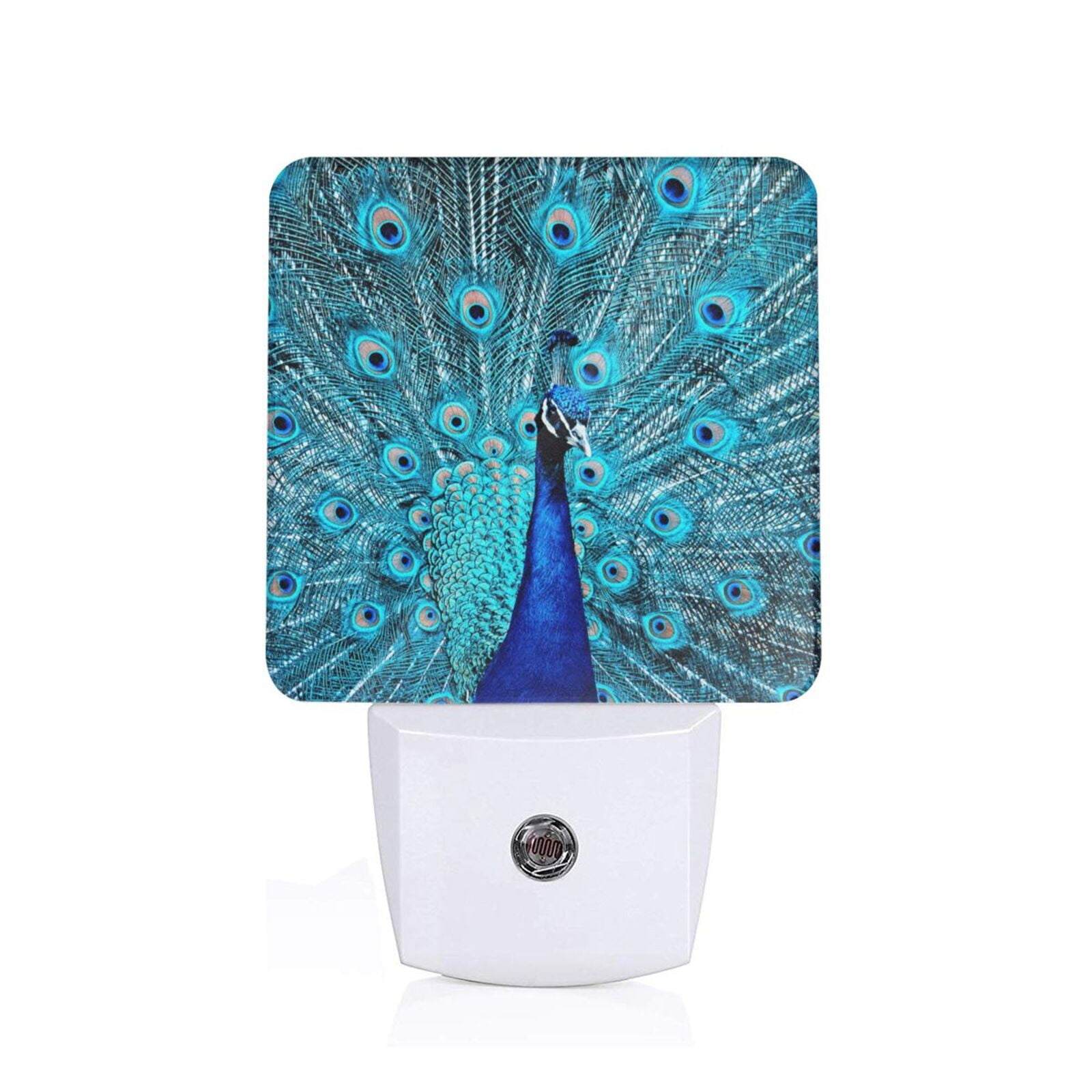 Xecao Beautiful Blue Peacock for Night Light - a Wall-mounted LED ...