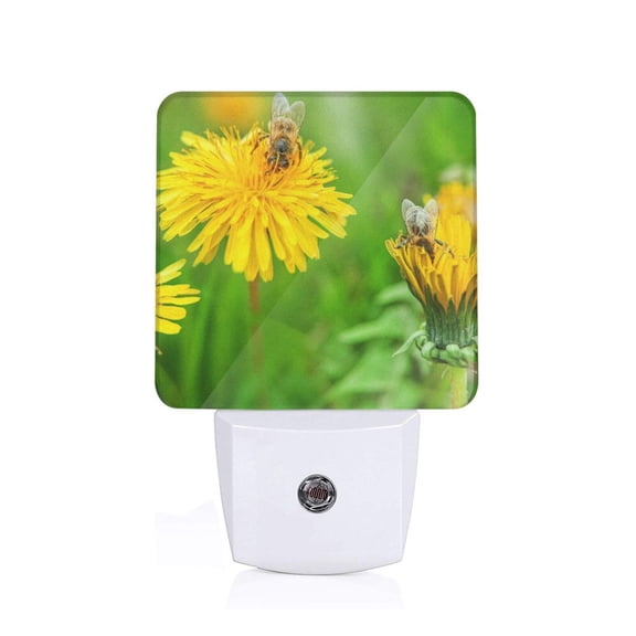 Xecao Bees Pollinates A Yellow Dandelion for Night Light - a Wall-mounted LED Fixture with A Dusk-to-dawn Sensor, Ideal for Bedrooms, Bathrooms, Hallways, and Kitchens-UK