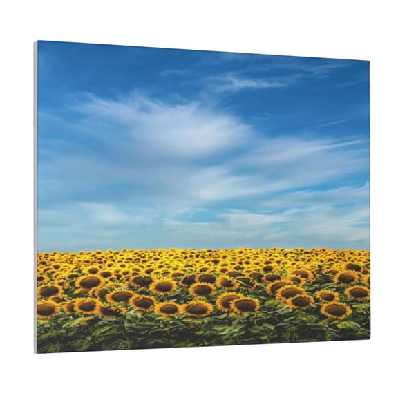 Xecao Blooming Sunflower Field for Waterproof Framed Canvas Art - Modern Home Decor with Real Wood Frame for Gifting and Interior Design,Horizontal