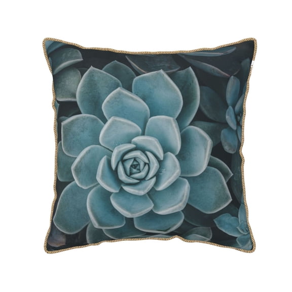 Xecao Blue Color Cactus Print Soft Velvet Decorative Throw Pillow Covers, Square Cushion Cases for Bed, Sofa, Living Room, Car, and Indoor Outdoor Use-16"x16"