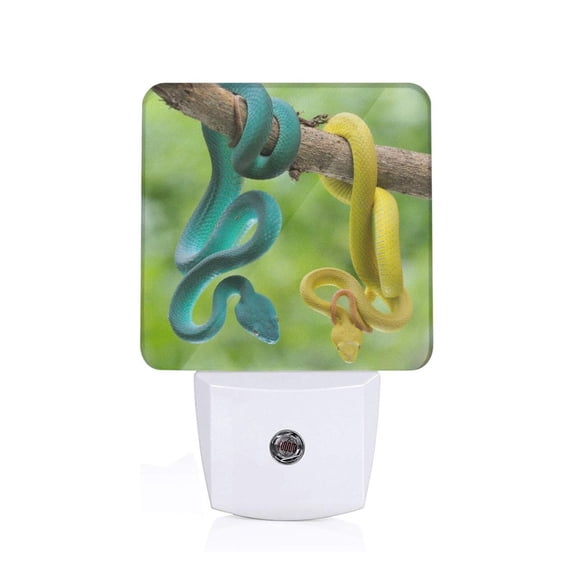 Xecao Blue Viper And Yellow Viper Snake for Night Light - a Wall-mounted LED Fixture with A Dusk-to-dawn Sensor, Ideal for Bedrooms, Bathrooms, Hallways, and Kitchens-US